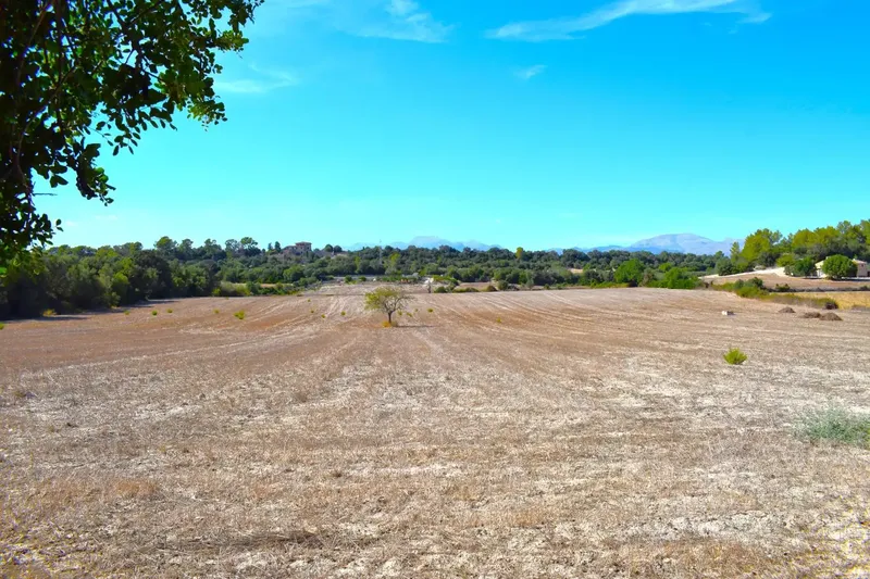 Finca rústica edificable de 32.462 m2, situada entre Llubí y Santa Margalida, en un entorno tranquilo y con hermosas vistas abiertas a la Se — photo 3