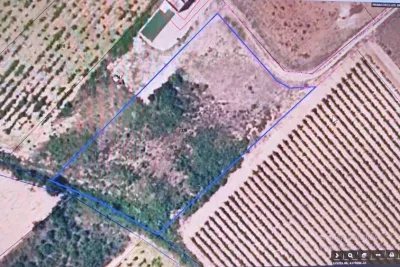 Land in Manacor — photo 4