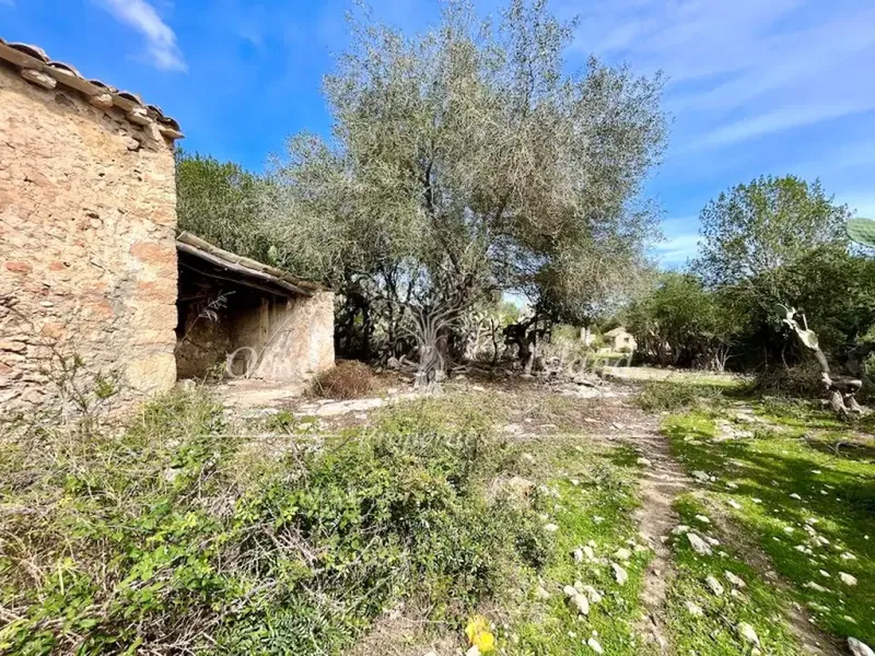 Ruin in Sineu, Mallorca — photo 9