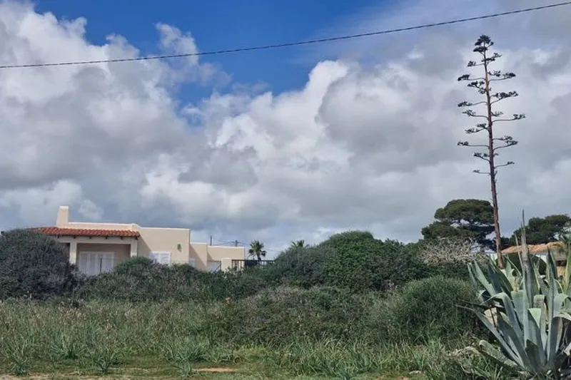 Cala Llombards – House Rental — photo 1