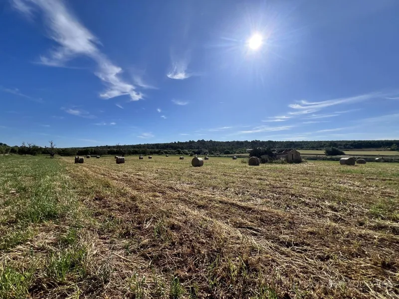 Land for sale in Ariany, Mallorca, Baleares, Spain — photo 4