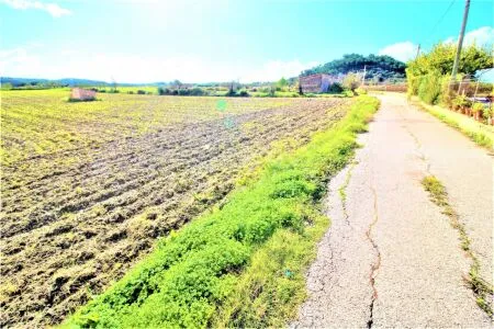 Rural Land - Sineu, Plot Surface 28600 m² — photo 2