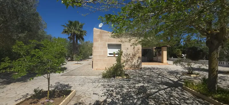 Rustic finca with pool and absolute privacy in Algaida – 7,880 m² of land — photo 9