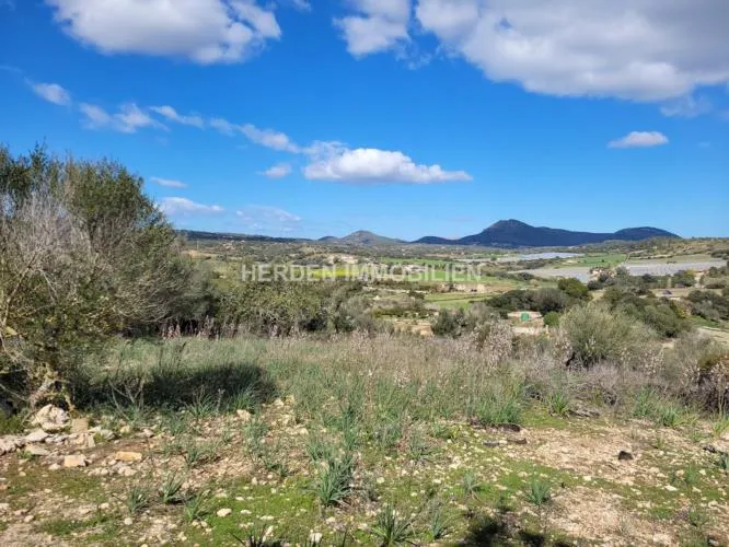 Building Plot for Sale in Manacor, Mallorca — photo 4