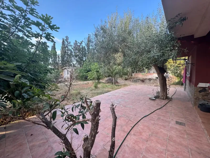 Marratxi-Son Ametler, house of about 166 m2, on one floor, spacious rooms, 3 bedrooms, 2 living rooms, 2 bathrooms, large parking area — photo 9