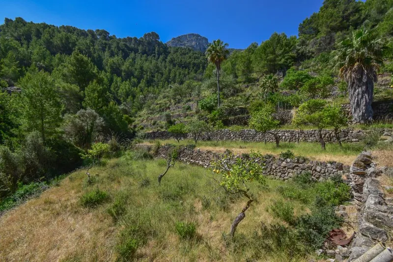 Finca in idyllic location, with stunning mountain views in Deià — photo 6