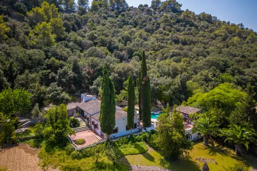 Pollensa, rustic finca on a hillside in absolute tranquility with pool, rental license and close to the old town of Pollensa — photo 1