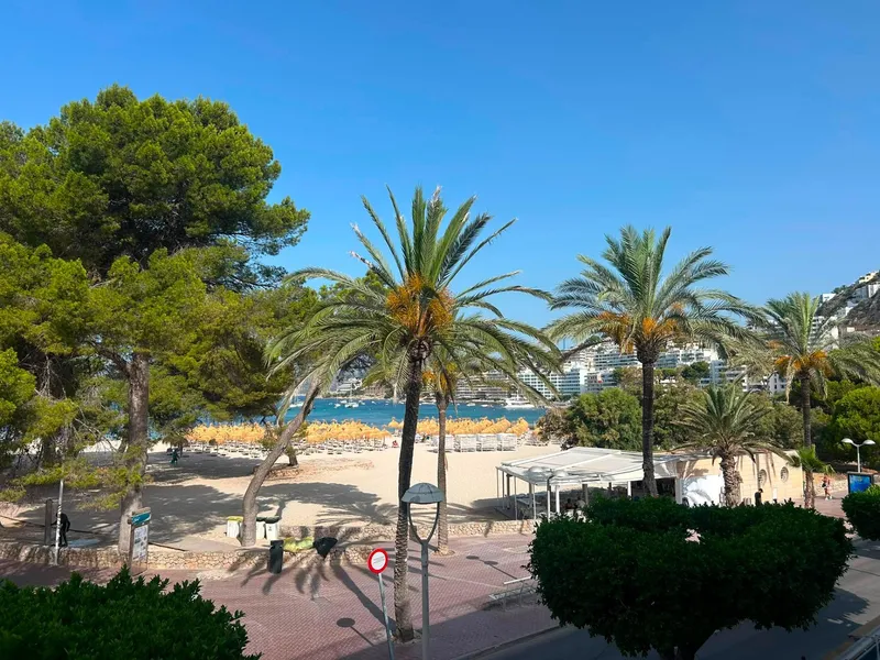 Studio with sea views in Santa Ponça. Temporary rental for a maximum of 11 months. — photo 12