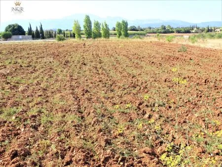 Rural Land - Llubí (Afueras de Llubí), Plot Surface 7500m², Distance to the Sea 14 Km. — photo 3