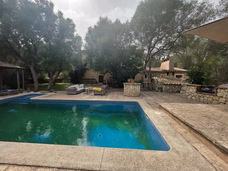 Beautiful rustic finca with pool in Pina — photo 5