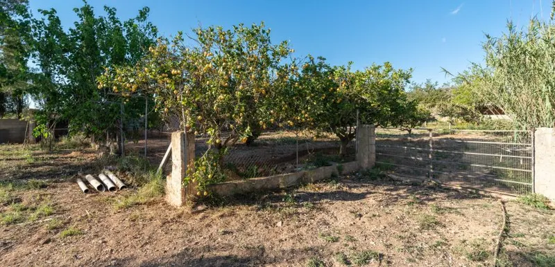 Rustic finca with its own well and mountain views in Llucmajor — photo 3