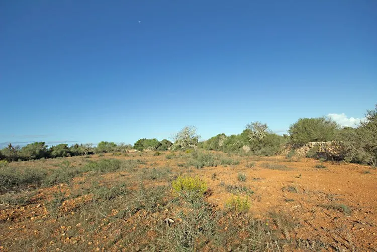 Ses Salines, finca property with building project G02913 — photo 2