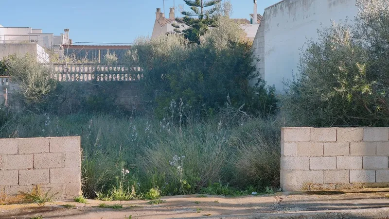 Exchange. Buildable plot in S'Estanyol. Near the sea and the port — photo 8