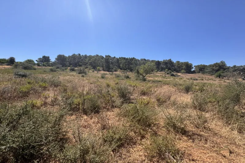 Dream plot with basic project and mountain views near Es Carritxo — T 20 — photo 5