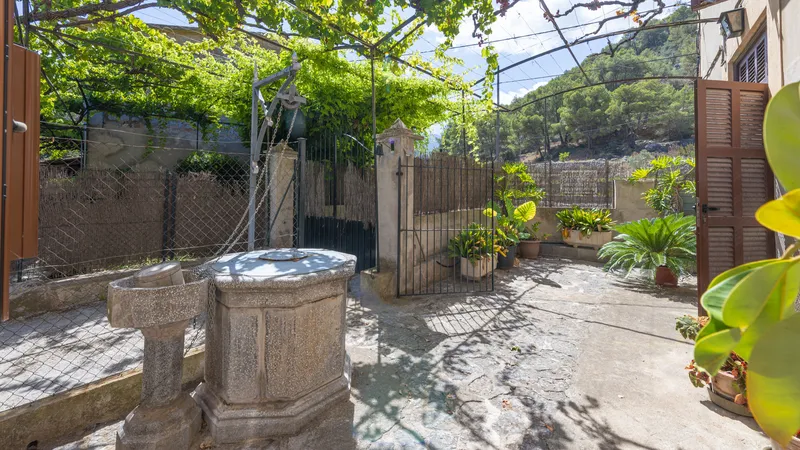 Investment! Finca on large plot with fruit trees and a lot of potential in Soller — photo 3
