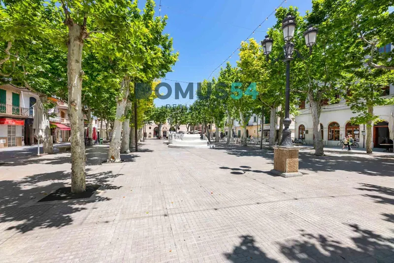 Plot of land for development in Sa Pobla — photo 12