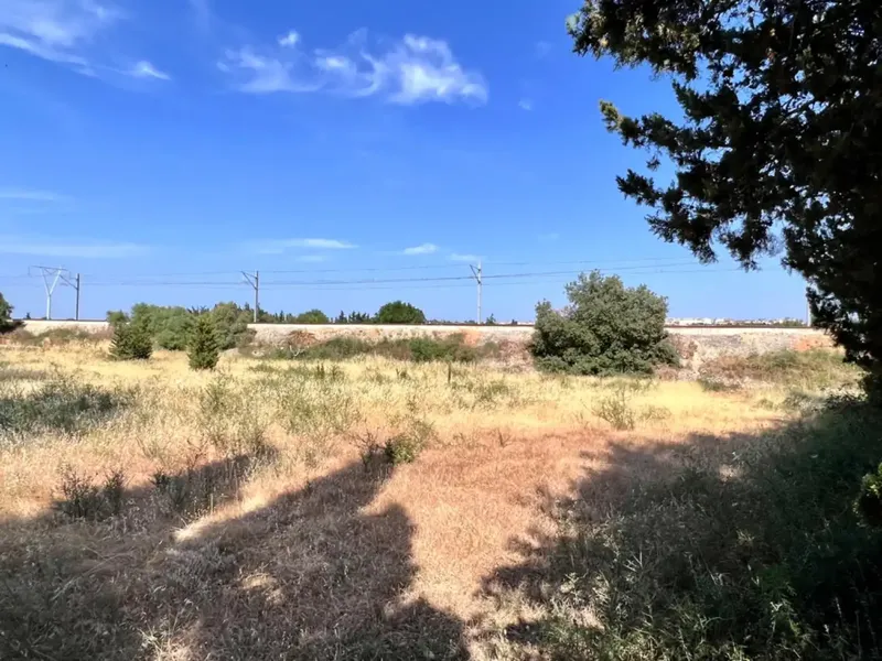 On the outskirts of Muro, next to the train station, we have this beautiful rustic estate with about 7,200 m2 of land and about 40 m2 — photo 6