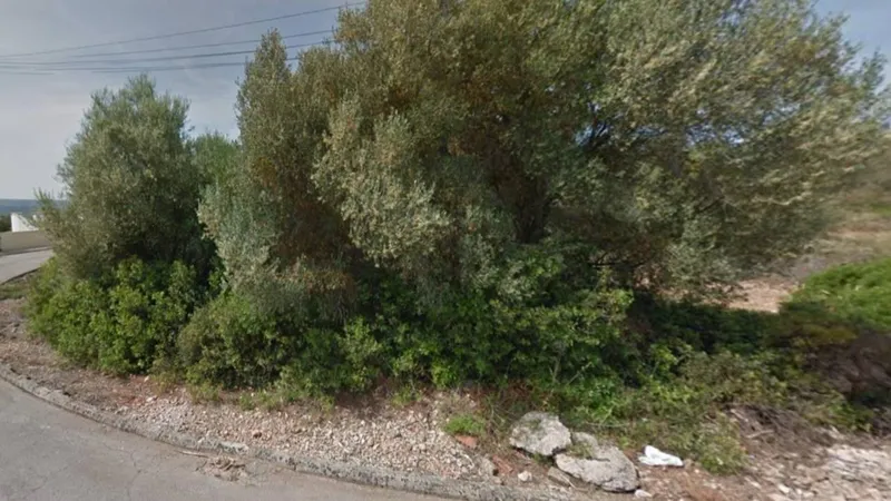 Plot for sale — photo 5