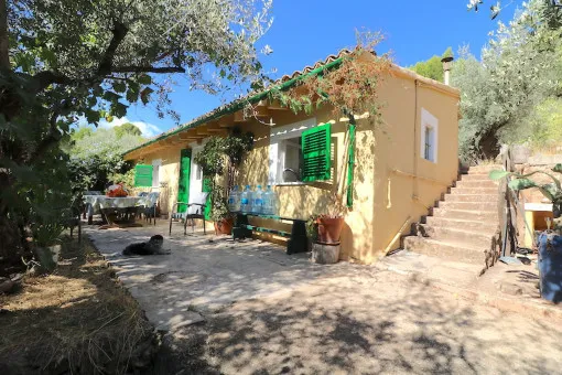 Fornalutx, olive grove on the outskirts of Fornalutx with sunny orientation — photo 1