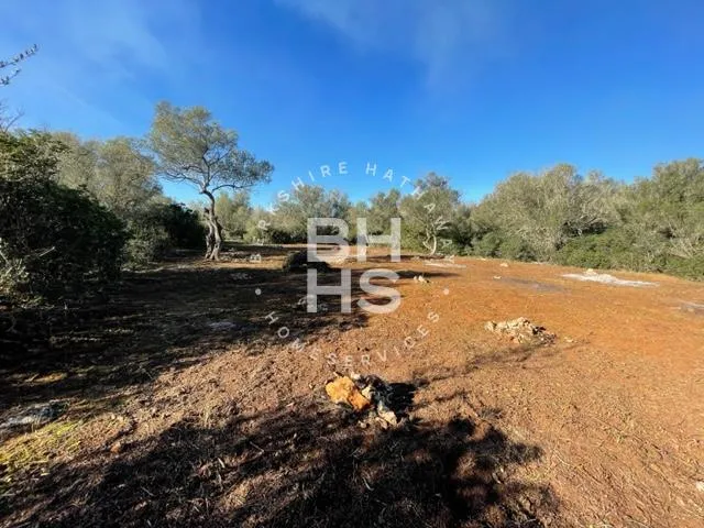 Country plot for sale in Felanitx — photo 4