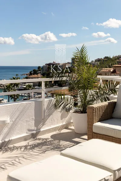 Penthouse — photo 10
