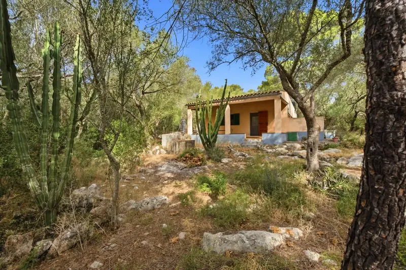 If you are looking for a refuge to enjoy the tranquility of the Mallorcan countryside, surrounded by nature and with excellent connections, this pro — photo 12