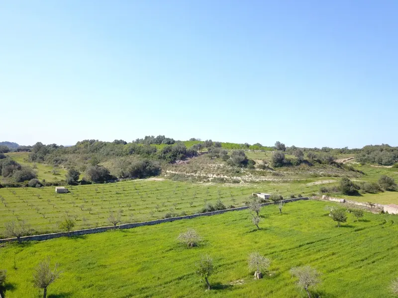 Land in Ariany, Mallorca — photo 5