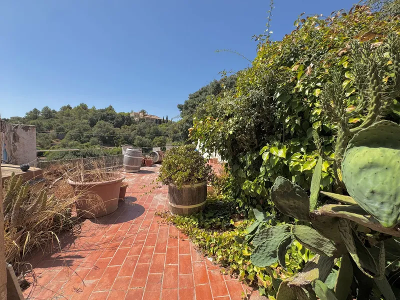 House / Chalet in Alaró — photo 12