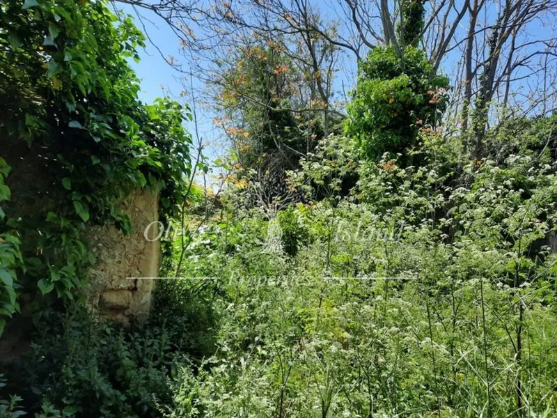 Mansion in Binissalem, Province of Balearic Islands — photo 11