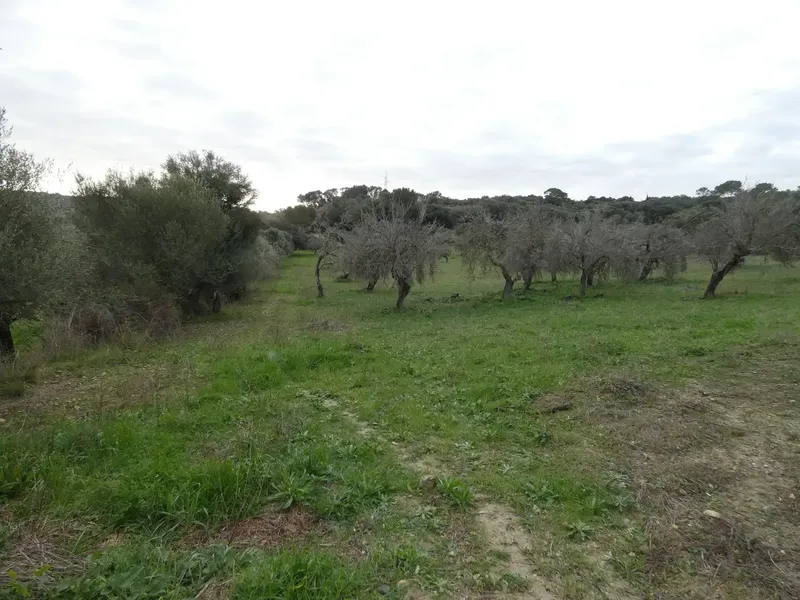 Rustic estate of 25,281 m² for sale with a 99 m² building to renovate, built before 1956 but in good condition — photo 12