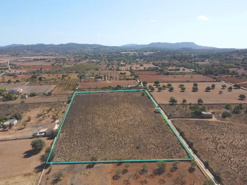 Buildable plot in Felanitx of 19,111 m2 — photo 6
