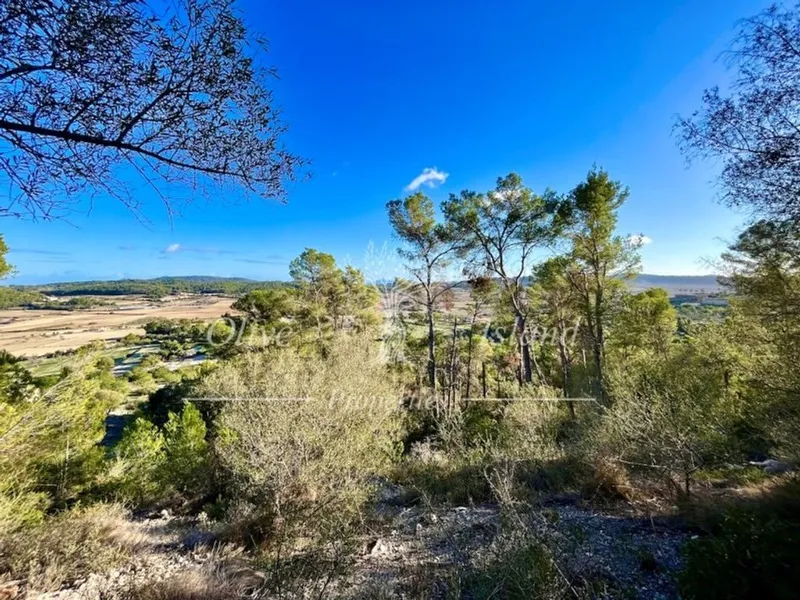 Villa in Sineu, Province of Balearic Islands — photo 12