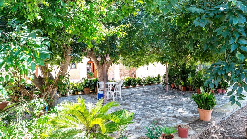 Rustic Finca for sale in Muro — photo 5