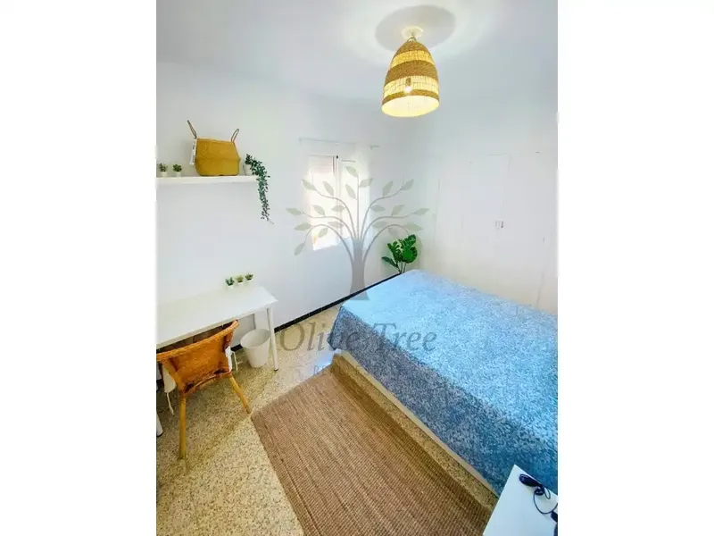 Reformed penthouse with terrace a few steps from the sea in S'Arenal — photo 6