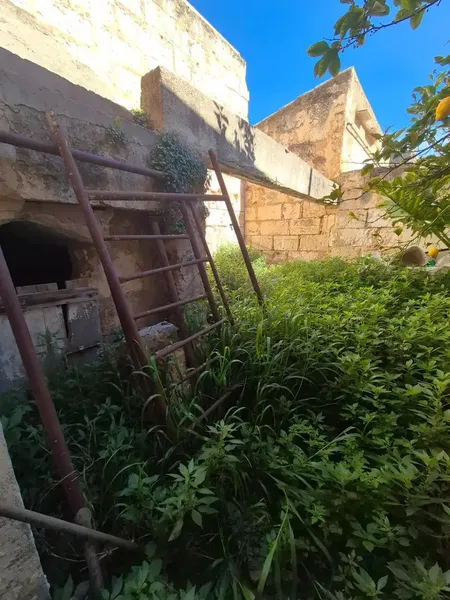 In Sa Pobla!!! — photo 6