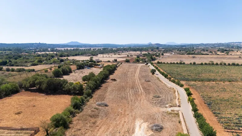 Sta. Margalida – Building plot with 14,174 m2 of land with approved project — photo 1