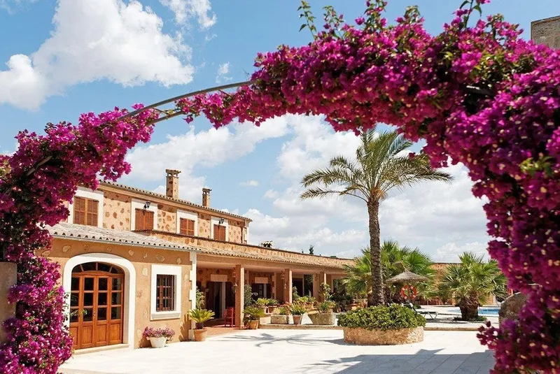 Hotel in ses Salines, Province of Balearic Islands — photo 1
