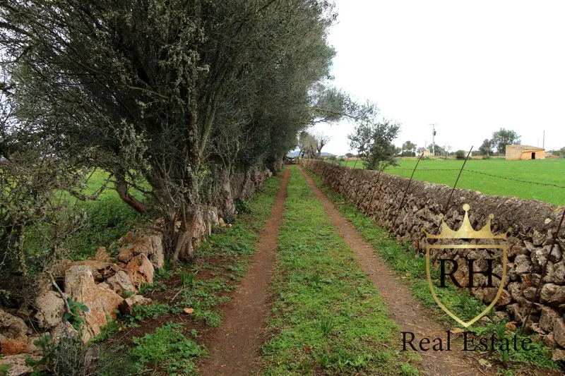 Rustic estate with possibilities to build the house of your dreams — photo 3