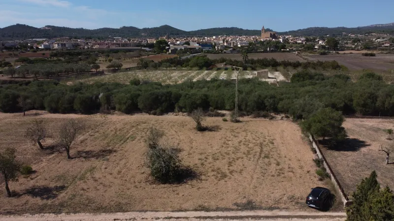 Rustic plot of 1,753 m² near Porreres — photo 1