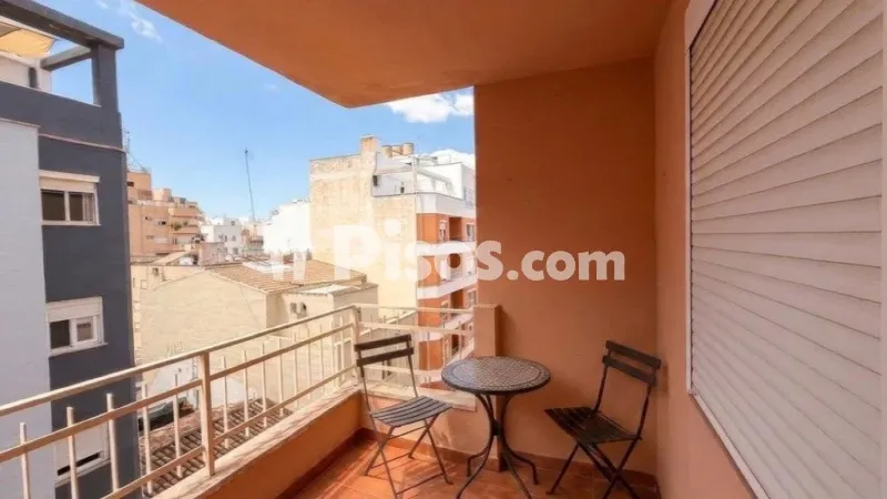 Apartment in Es Camp Redó — photo 2