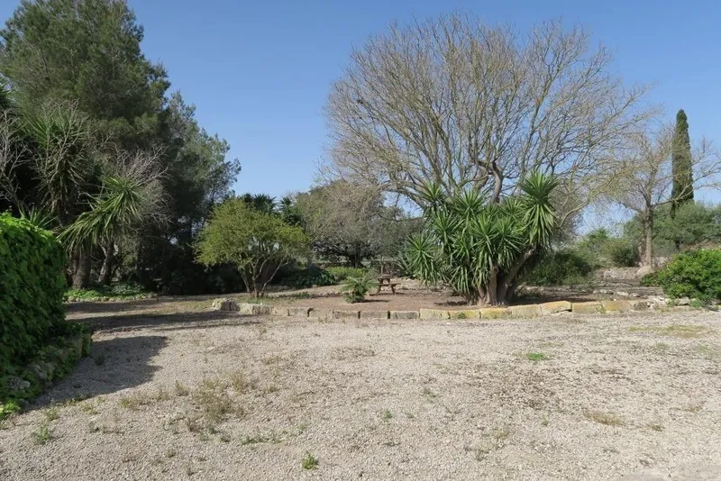 Luxury home in Ariany, Province of Balearic Islands — photo 7