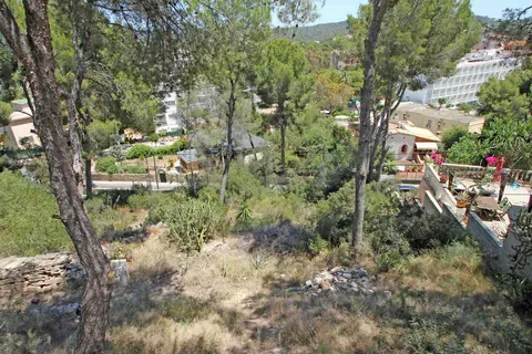 Land in Peguera, Mallorca — photo 1