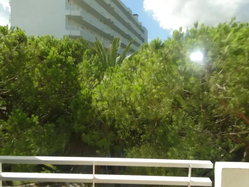 Studio for sale of 40m2 in the Siesta II building. Second floor. Alcudia. Mallorca. Community elements, elevator, reception, pool and — photo 3