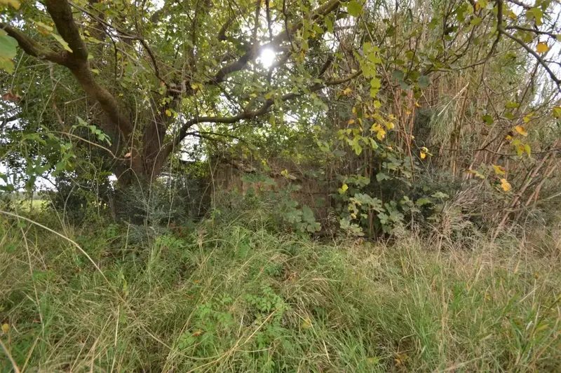 Plot of 15300 square meters with tool shed to be renovated — photo 8