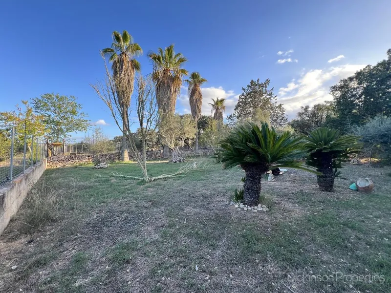 Charming rustic finca in Costitx — photo 5