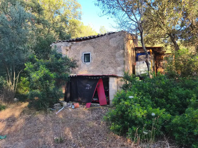 Finca of 12000 m² in the area of Sa Comuna, almost entirely enclosed by stone wall, with an old stone cottage of about 30 m² and an annex — photo 4