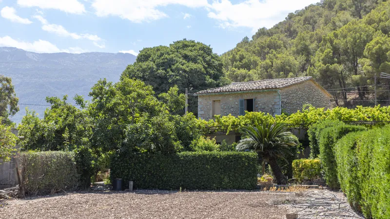 Investment! Finca in Soller on a large plot with fruit trees and lots of potential — photo 12