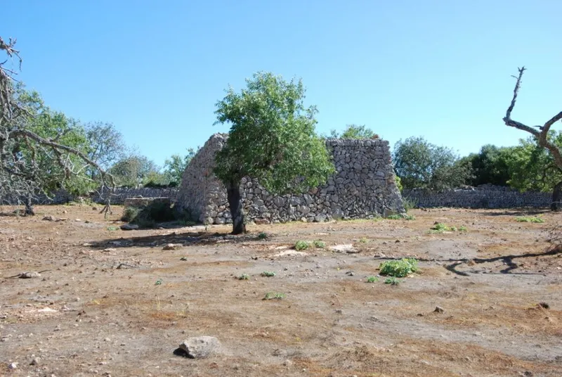 Interesting rustic plot between Santanyi and Es Llombards — photo 3