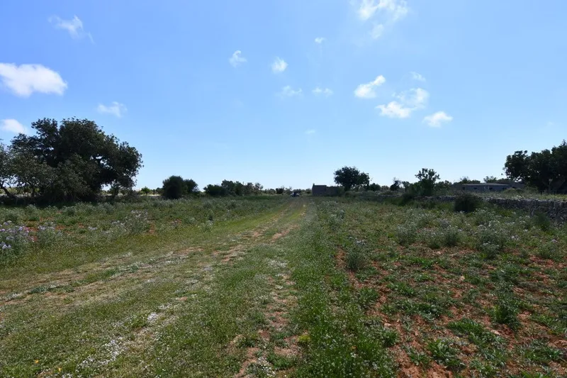 Plot land with basic project, electricity and water just 900 meters from Santanyi — photo 3