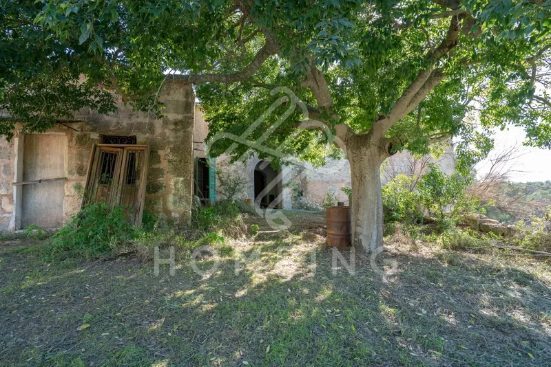 Rustic estate of 252,000 m2 from 1800, with house to renovate. — photo 10